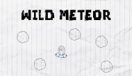 Wild Meteor